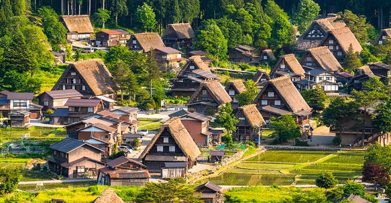 Nagoya Private Tour - Shirakawago