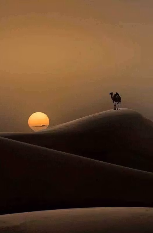 Abu Dhabi Private Tour - 