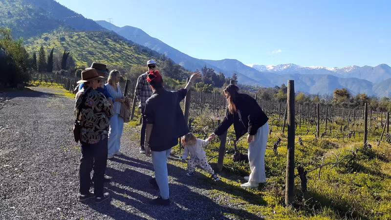Santiago Private Tour - 