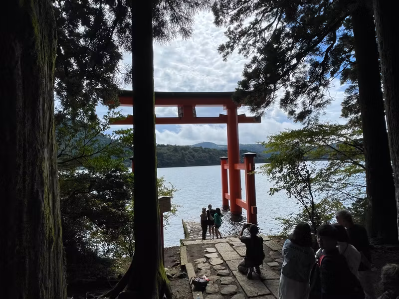 Tokyo Private Tour - The famous Torii di Hakone