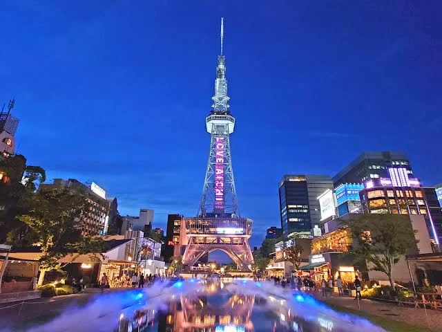 Nagoya Private Tour - 