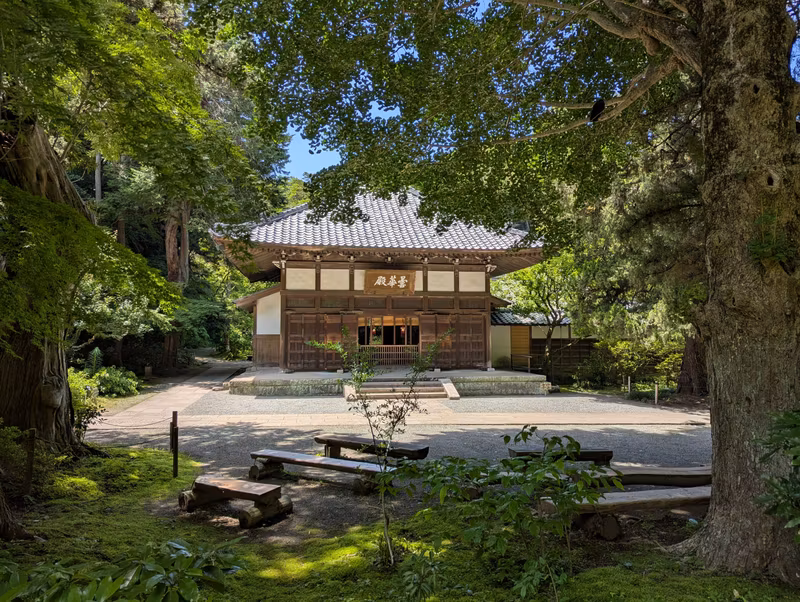 Kanagawa Private Tour - 