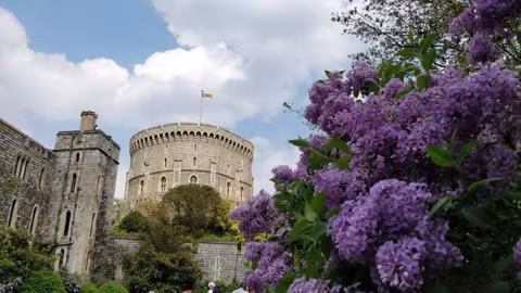 Royal Windsor Taxi Tour – Private Experiencecover image