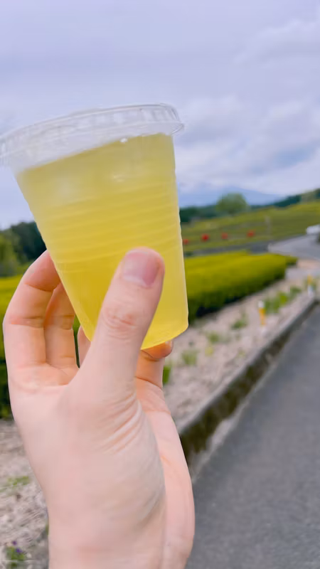 Nagoya Private Tour - Green tea at the farm