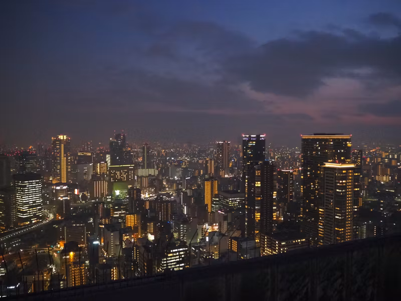 Osaka Private Tour - Night View from Umeda Sky Building
