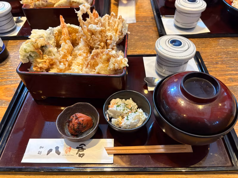 Kanagawa Private Tour - Tempura set