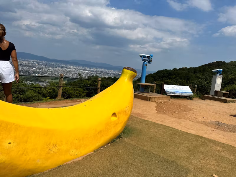 Kyoto Private Tour - on the top of monkey mountain