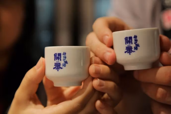 Tochigi Private Tour - 