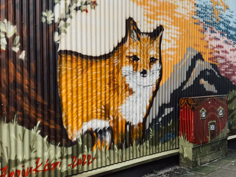 Reykjavik Private Tour - The street art is always changing