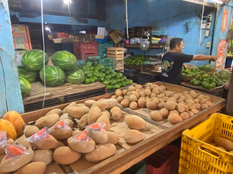 Merida Private Tour - 