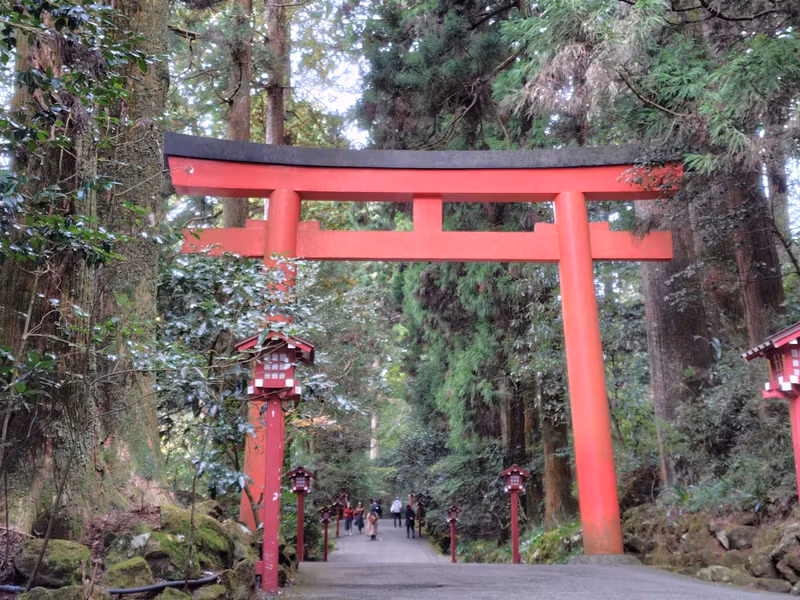 Shizuoka Private Tour - Th third torii gate of Hakone Shrine