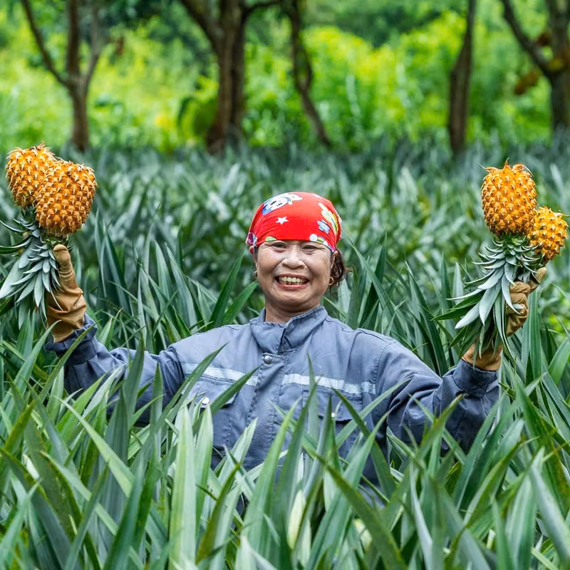 Hanoi Private Tour - 