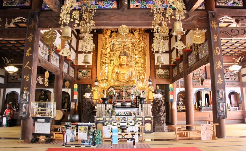 Tokyo Private Tour - Ryugoden, houses  Shakyamuni Buddha statue