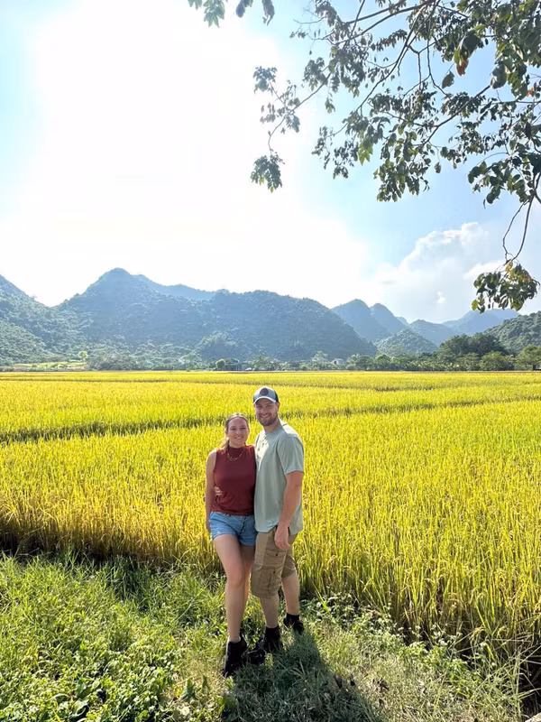 Hanoi Private Tour - Rice paddy field