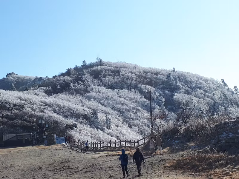 Seoul Private Tour - Korean mountains in winter