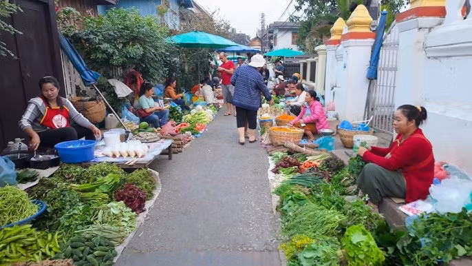 Luang Prabang Private Tour - Morning Market