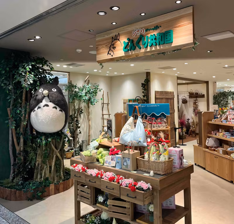 Osaka Private Tour - Studio Ghibli Store