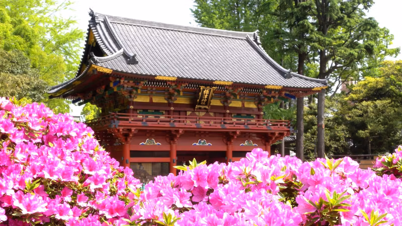 Tokyo Private Tour - Nezu shrine