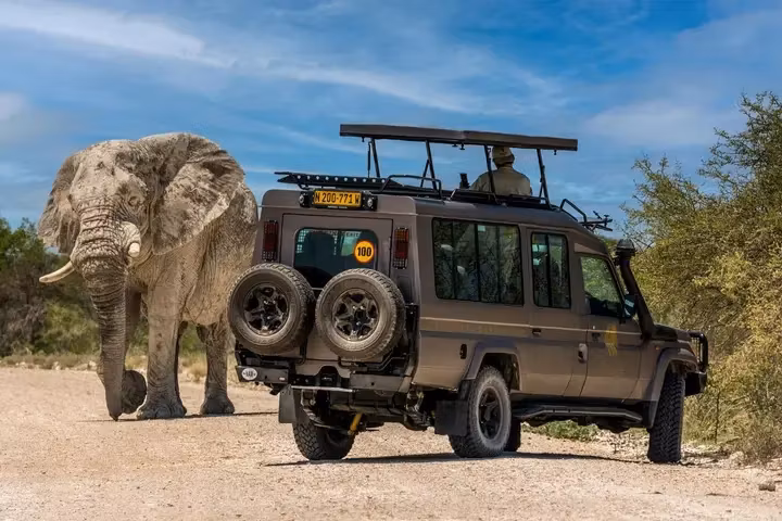 Moshi Private Tour - 