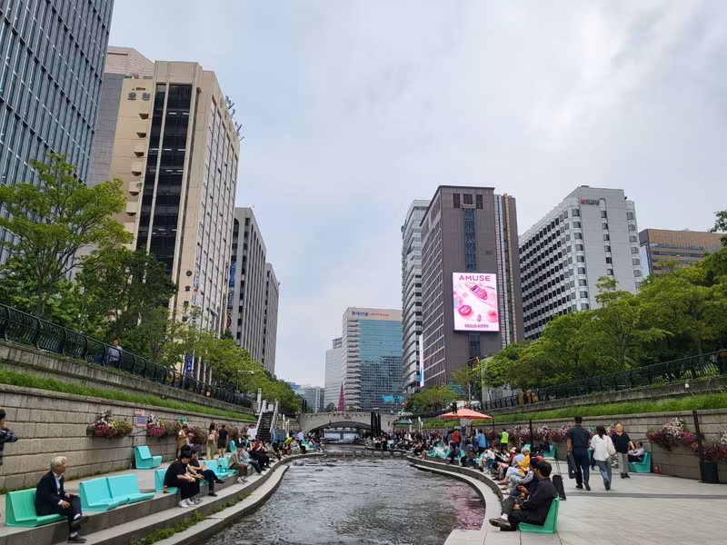 Seoul Private Tour - Cheonggye Stream