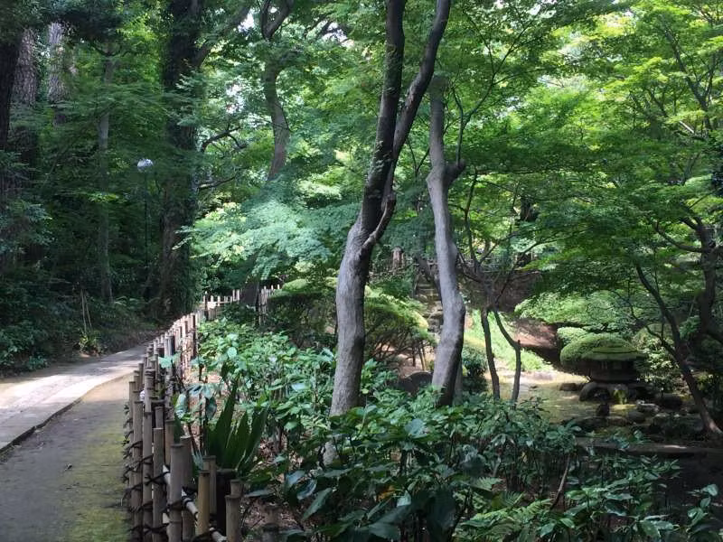 Tokyo Private Tour - Beautiful garden in a museum premises