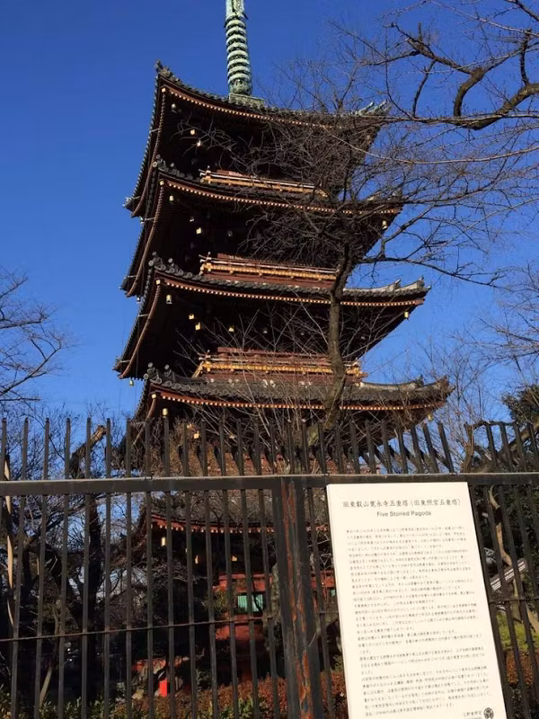 Tokyo Private Tour - Ueno five-story pagoda