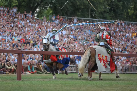 Historical Landshut Royal Wedding 1475 Tourcover image