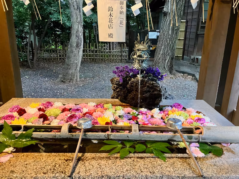 Tokyo Private Tour - Temizuya, pavilion to purify oneself