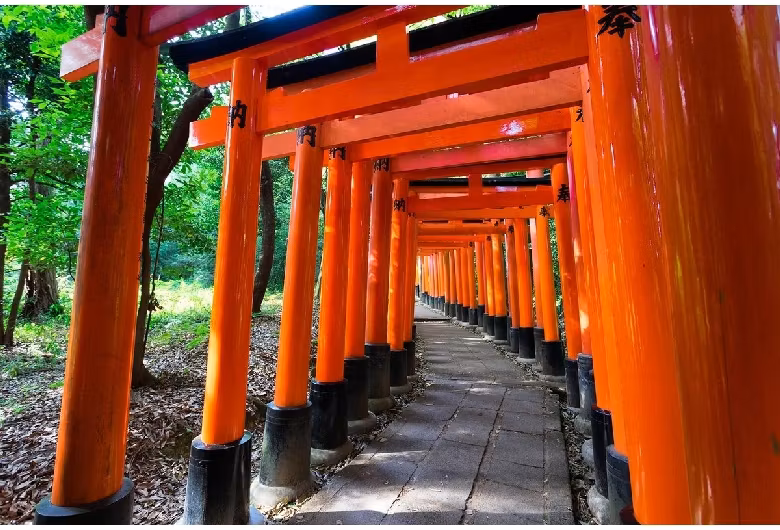 Tokyo Private Tour - Nezu shrine