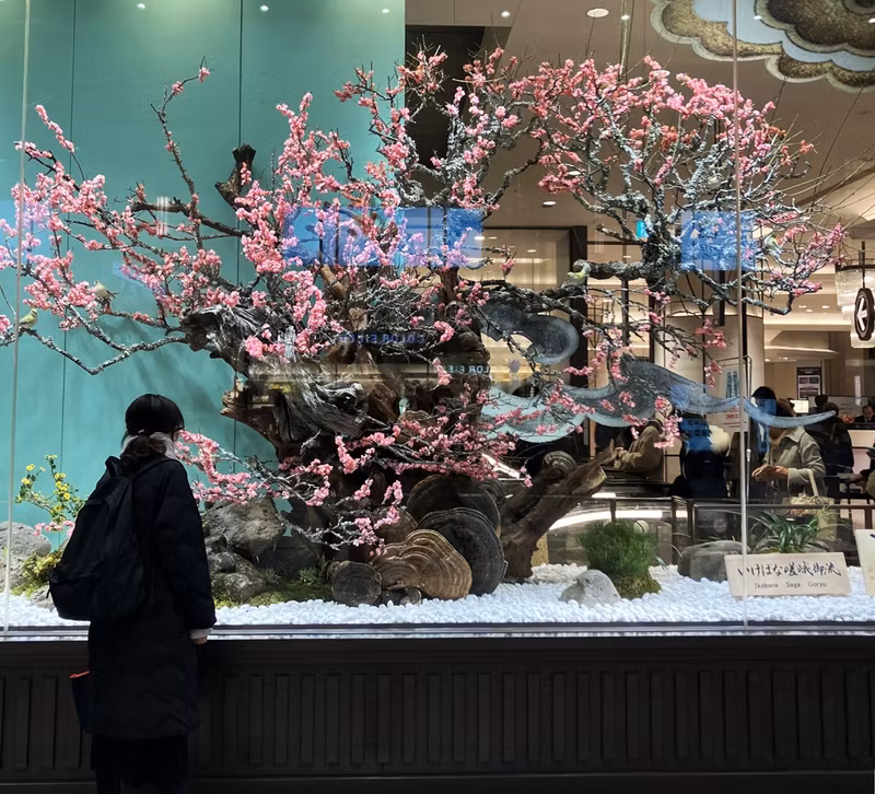 Kyoto Private Tour - Saga Go-ryu Ikebana at Hankyu Department Store