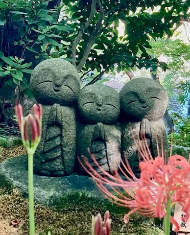 Enjoy Kamakura in a private car & Matcha Experience Optioncover image