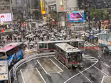 Efficient One Day Tokyo Tour - 1