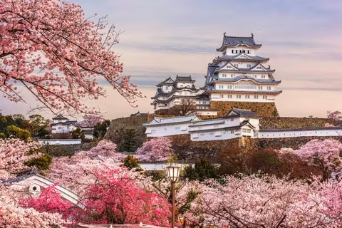 Explore Himeji: Japan’s White Heron Castle and Old Towncover image