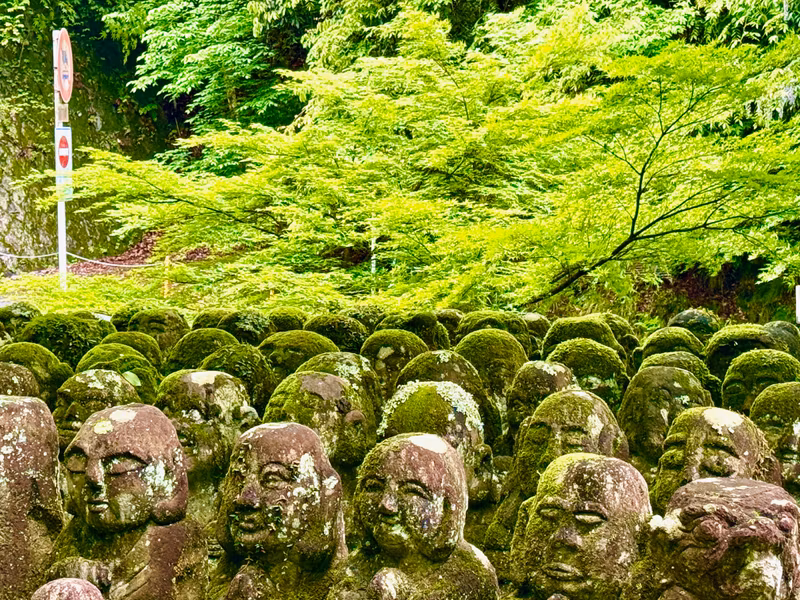 Shiga Private Tour - The backside of Arashiyama