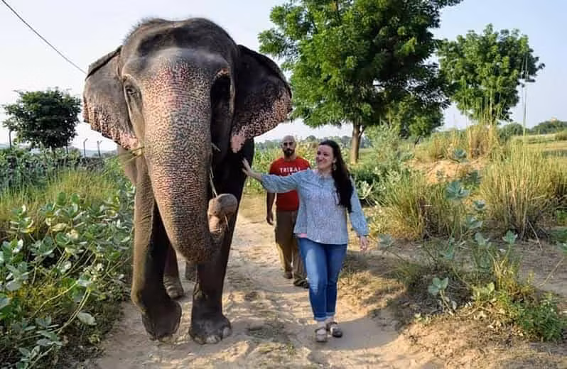 Delhi Private Tour - 