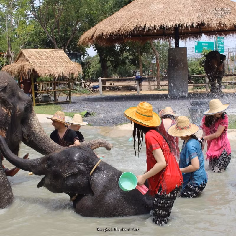 Bangkok Private Tour - Enjoy a mud spa & bathe with the