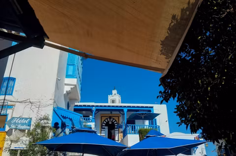 One day to see the ruins of Carthage and the Medina of Tuniscover image