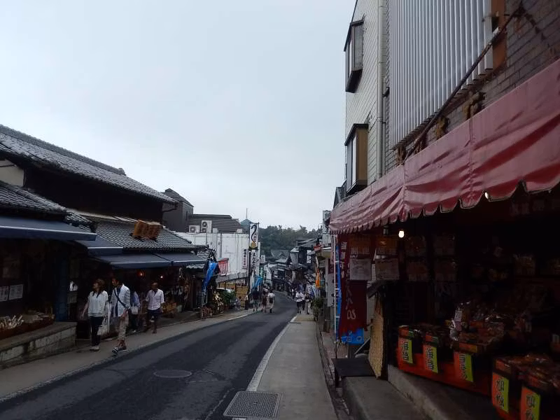 Narita Private Tour - Omotesando street
