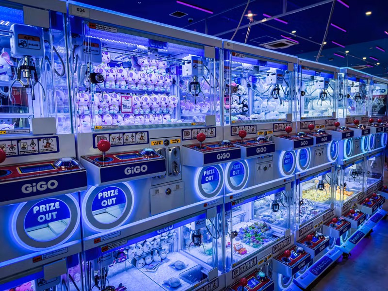 Tokyo Private Tour - Crane Games at Gigo Game Center