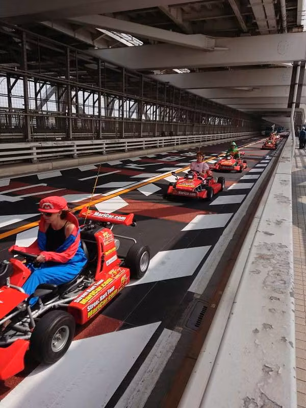 Tokyo Private Tour - Mario carts driving on Rainbow bridge