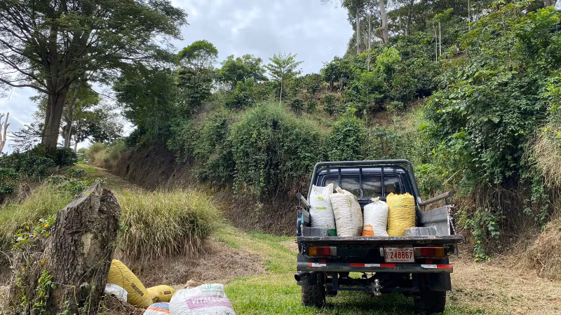 Alajuela Private Tour - Working in the Farm