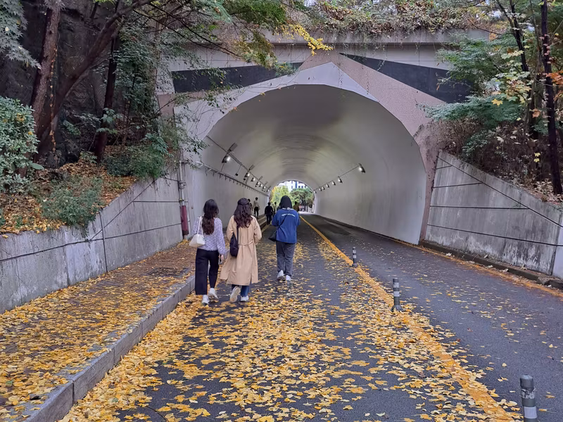 Seoul Private Tour - Namsan Mountain