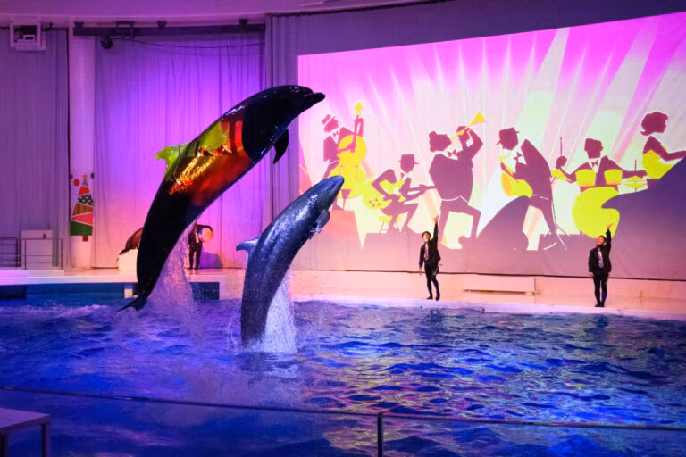 Ibaraki Private Tour - 