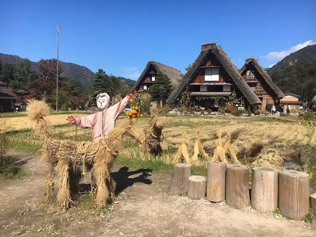 Nagoya Private Tour - Shirakawago
