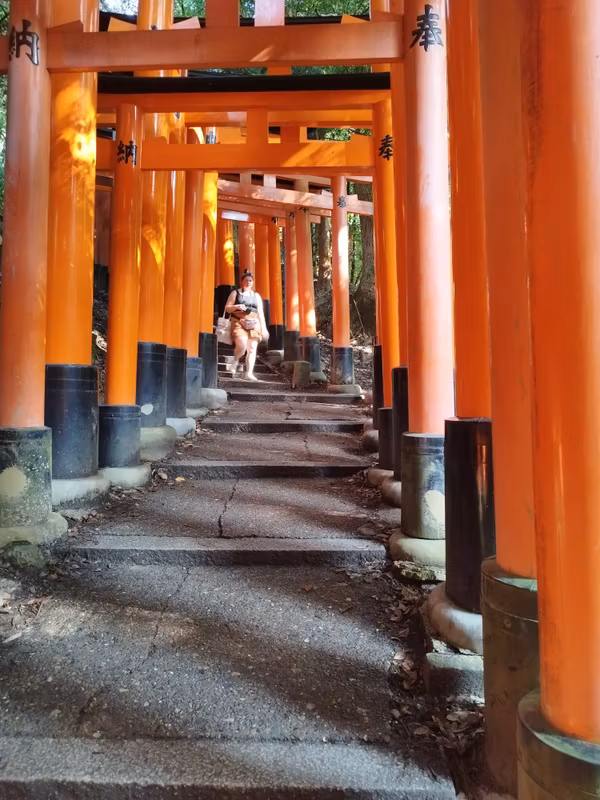 Kyoto Private Tour - 