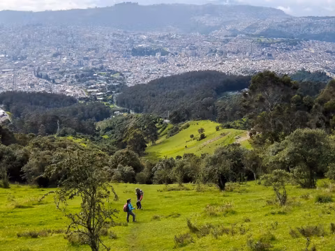 Trekking the Pichinchas, unique views from high up to Quito and Andes of Ecuadorcover image
