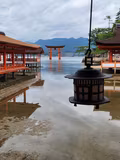 Full-Day in Miyajima - 2