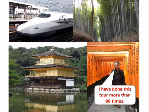 One day  Door to Door tour of Kyoto from Tokyocover image