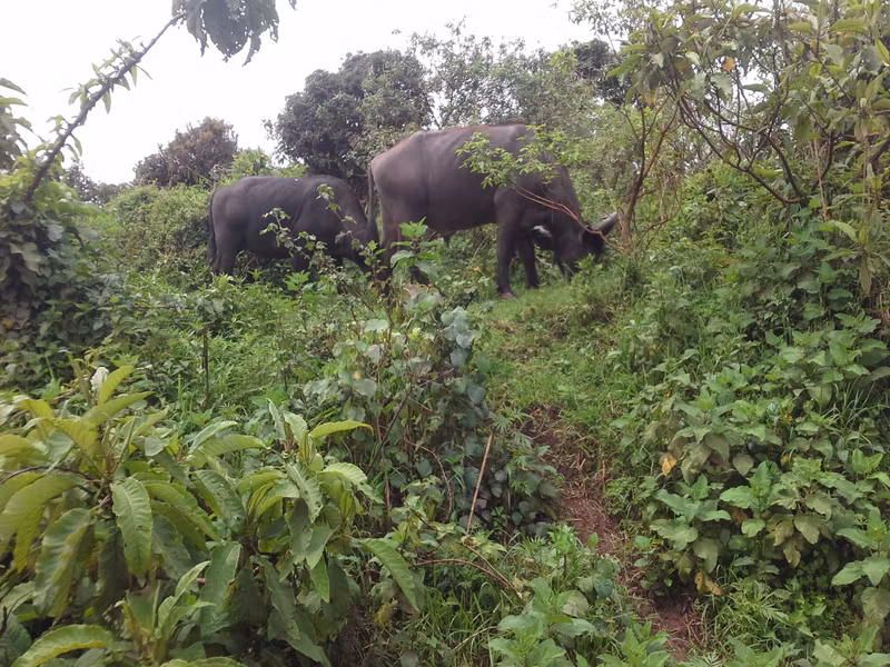 Moshi Private Tour - 
