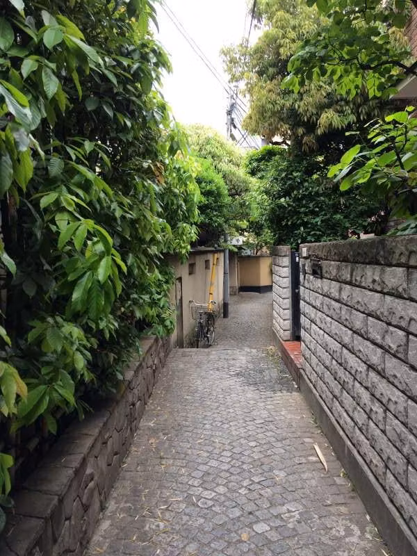 Tokyo Private Tour - Narrow alley at Kagurazaka
